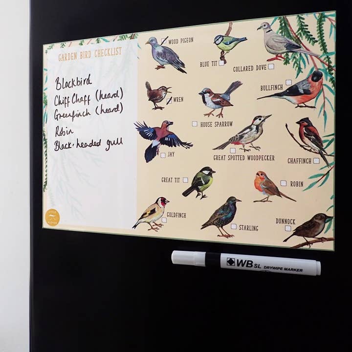 Magnetic Fridge Birdwatching Chart for wholesale by Little Plover