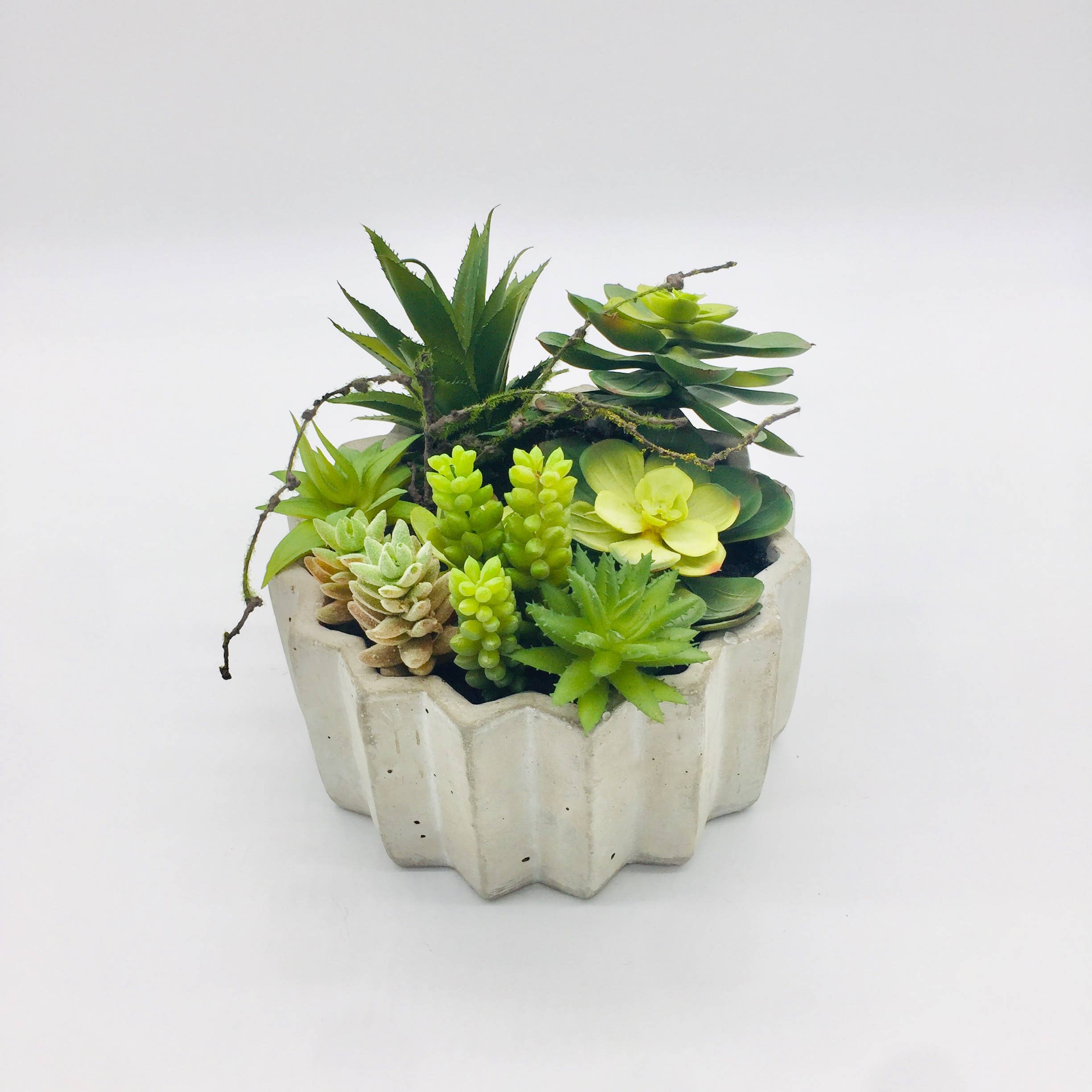 Galt International Company - Vendita all'ingrosso Pianta grassa - Succulenta sintetica in vaso di cemento da 17,8 cm di diametro4