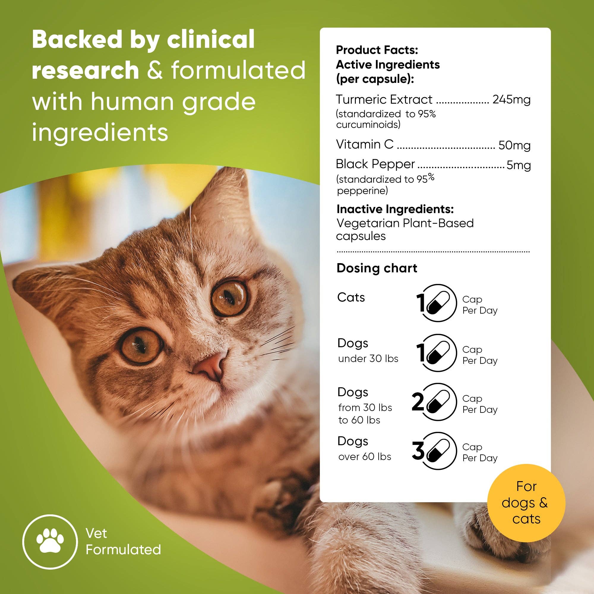 Rooted Owl® Natural Pet Health – wholesale Pet supplement – Cat/dog – Turmeric1