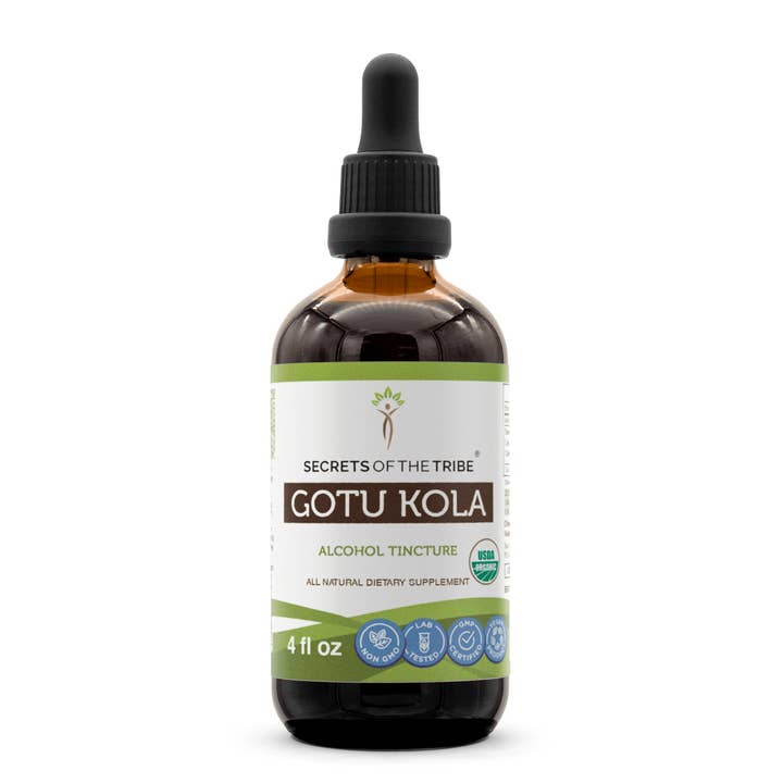Secrets Of The Tribe - Wholesale Tincture - Gotu Kola Tincture6