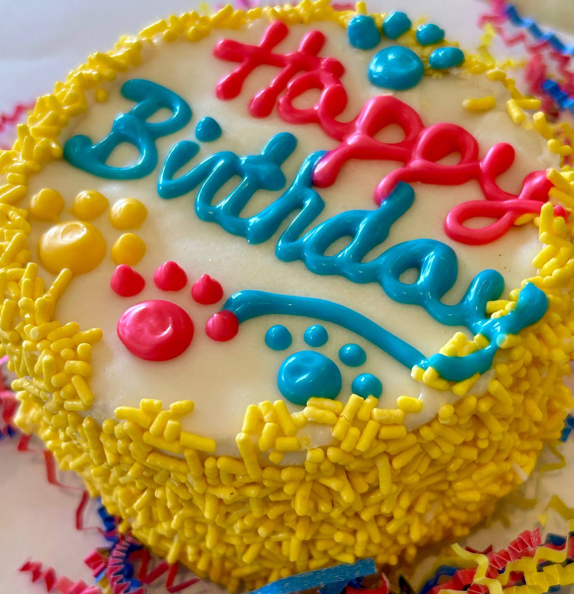 DELCO DOG CO. - Wholesale Pet Treats - Dog -  Happy Birthday Sprinkle Doggie Cakes 2