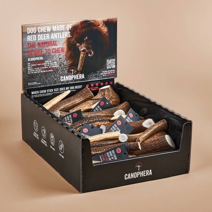 Shelf Display Grade A Red Deer Whole Antlers 30-piece. and other Purchase Wholesale antler dog chew. Free Returns & Net 60 Terms on Faire trending on Faire.