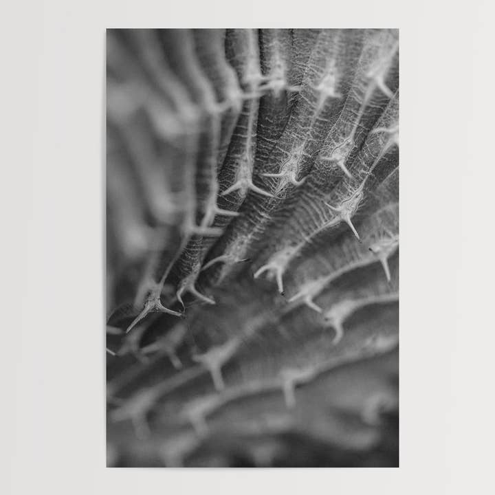 Curvature, a Modern Black & White Botanical Fine Art Print for wholesale by Rachel Richards Fine Art