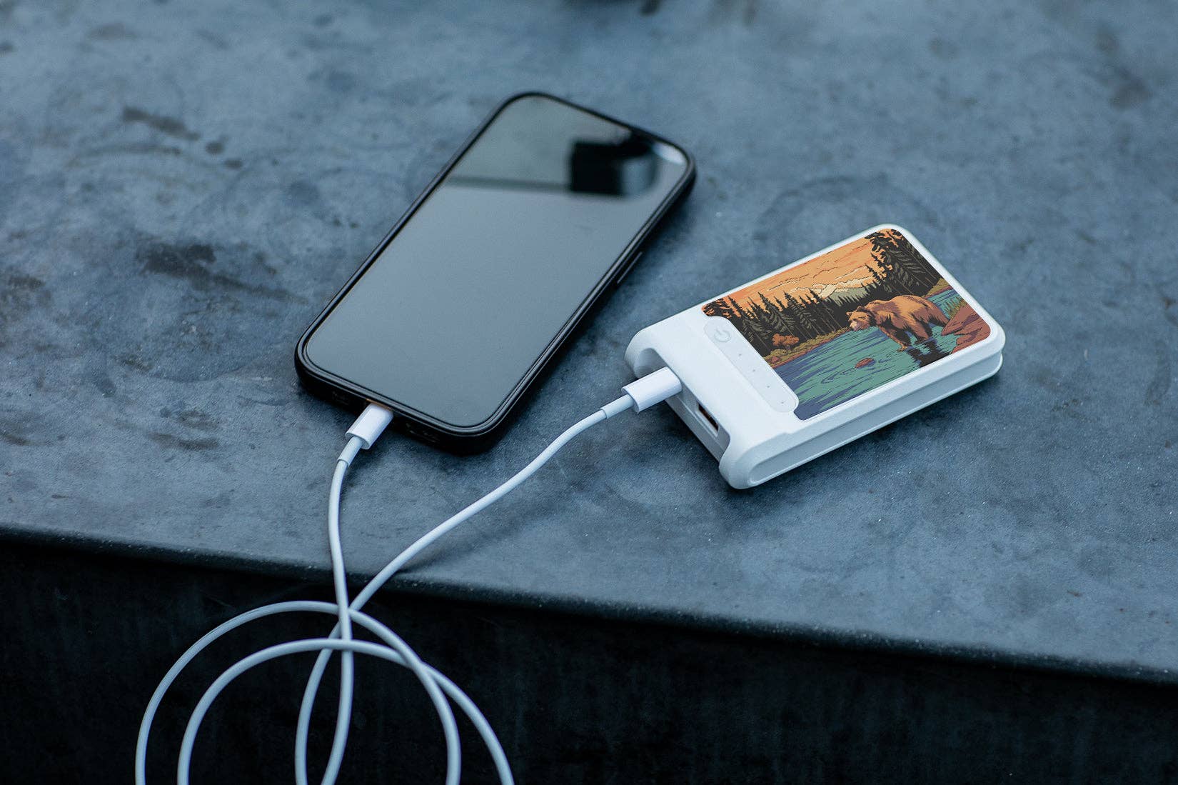 Rupt - Wholesale Portable Charger - AMPX 6000mAh POWER BANK - NATURE EDITION1