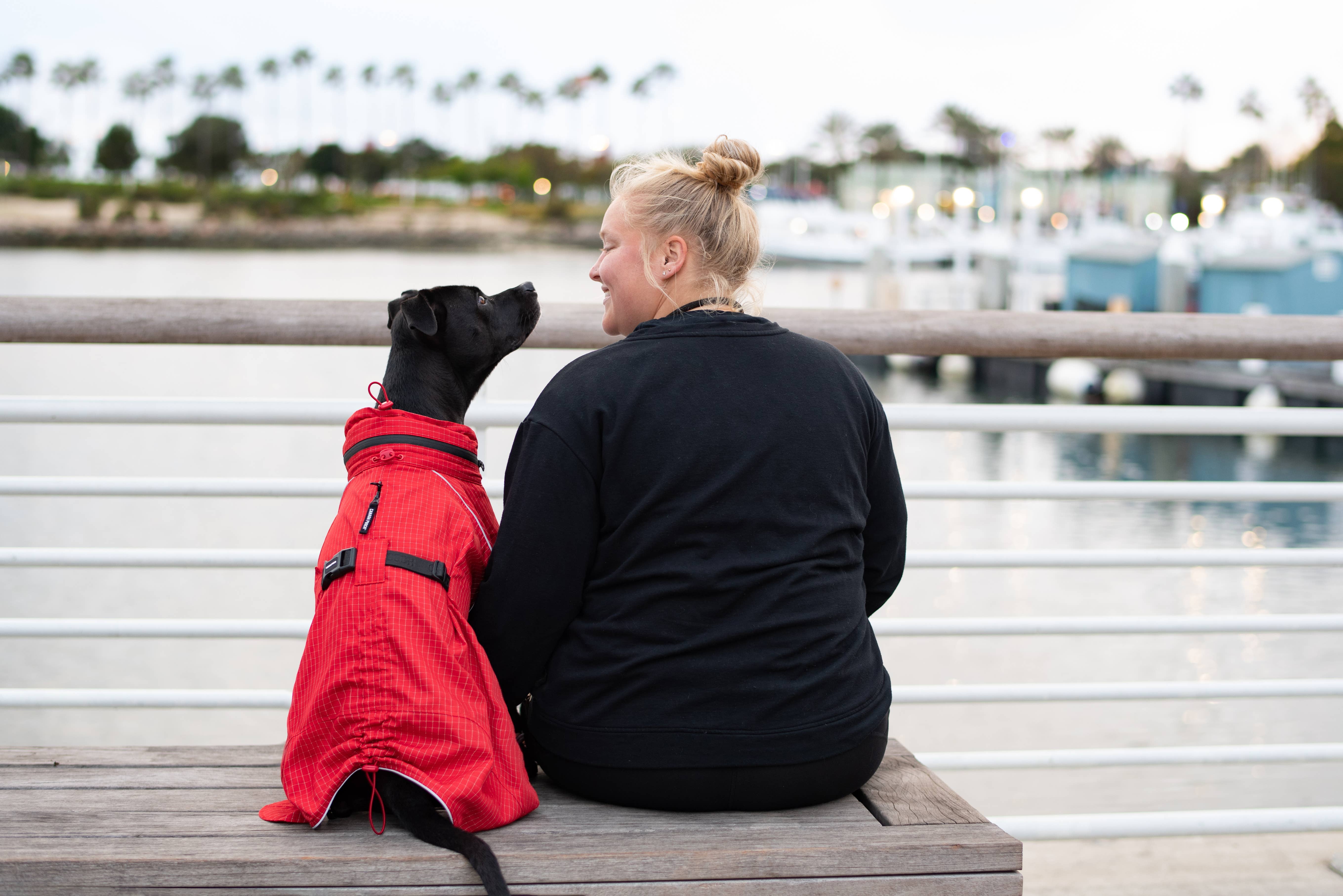 Rot reflektierend Hunderegenmantel mit vollständiger Abdeckung (rot reflektierend) für den Großhandel auf Faire5