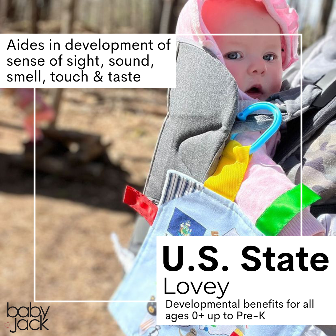 Baby Jack and Company - Wholesale Crinkle Tag Toy - Baby - Massachusetts State Baby Learning Crinkle Square 8"x 8" Toy2