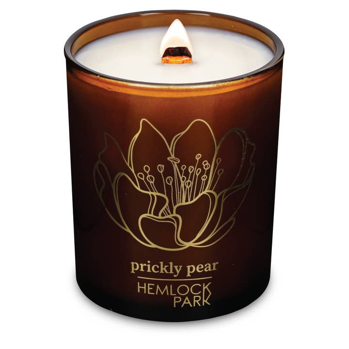 Prickly Pear | 7.2 oz Amber & Gold Candle | Final Stock for wholesale by Hemlock Park