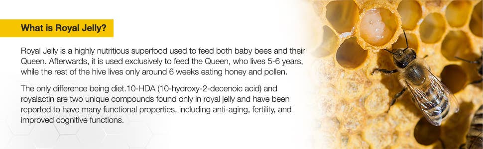 BEE&YOU – Engroshandel Kosttilskud og vitaminer – BEE&YOU tyggetabletter med royal jelly, bi-pollen og propolis8