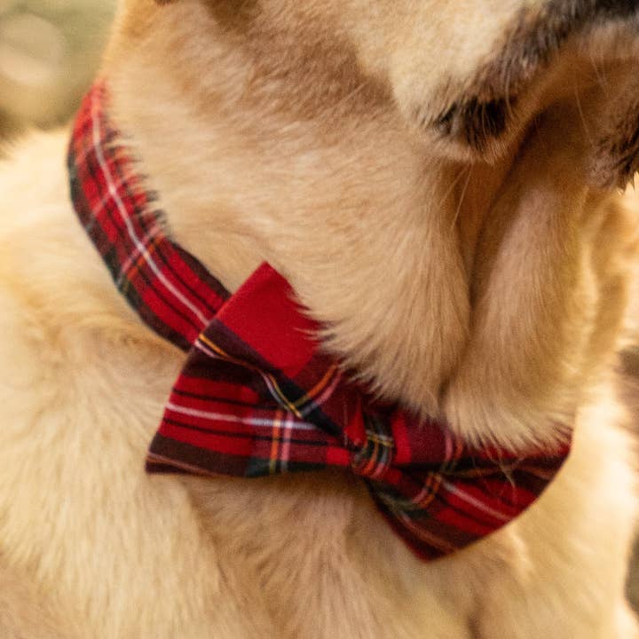 Christmas Red Tartan Pet Bow Tie for wholesale by Hetty and Huxley