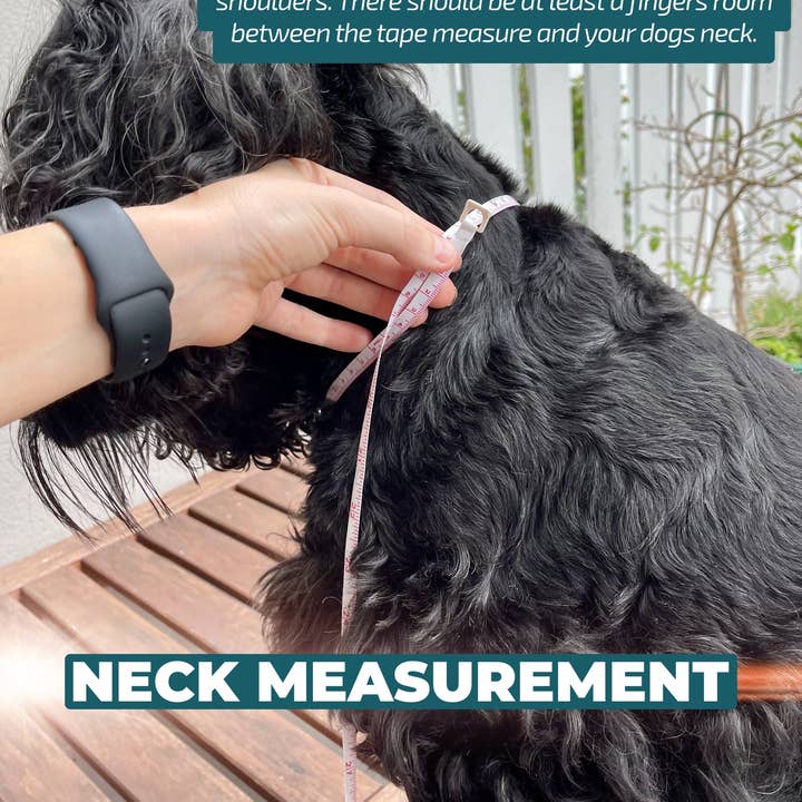 Dizzy Dog Collars - Wholesale Pet harness – Dog - DOG HARNESS | Mediterranean Magic Neck Adjustable Dog Harness2