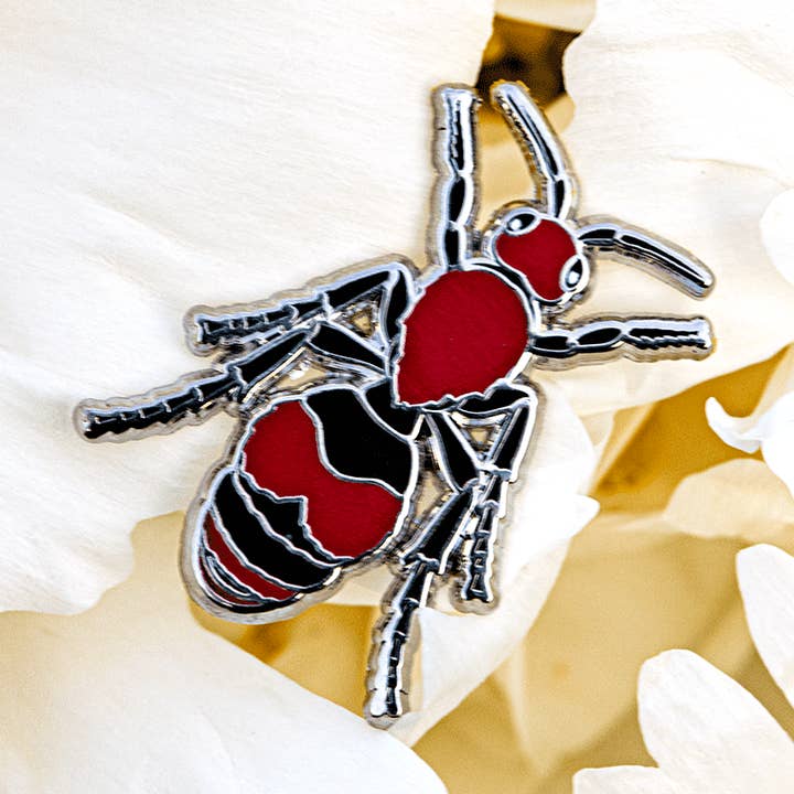 Alfiler de Hormiga de Terciopelo Asesina de Vacas para venta al por mayor de The Roving House