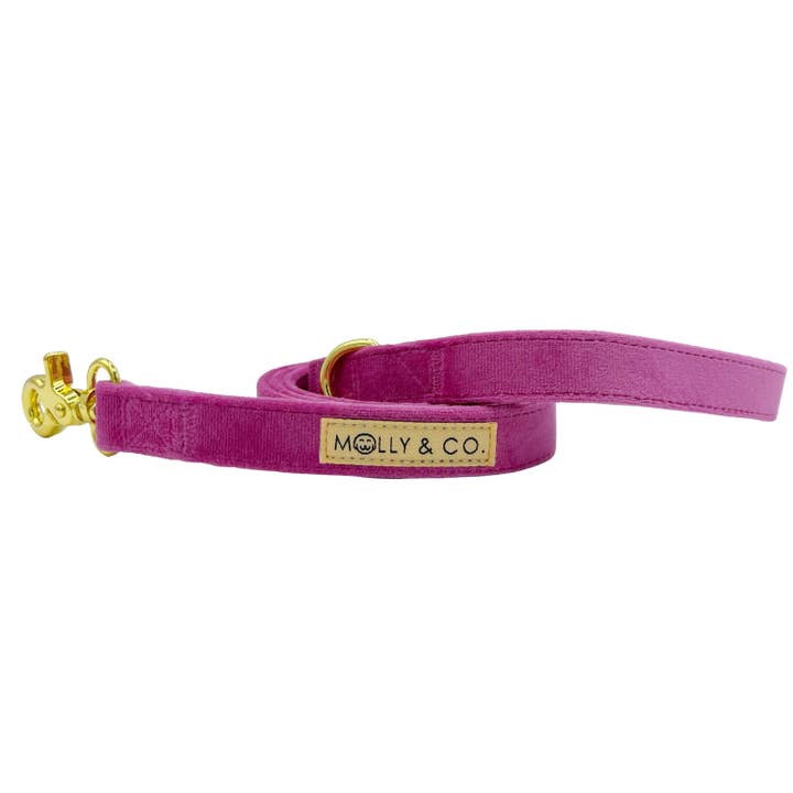 Rose Velvet - Leash for wholesale by Molly & Co.
