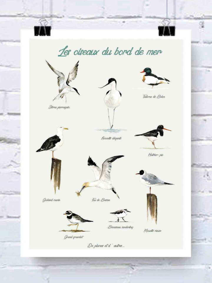 Seaside Birds Plakat for engroshandel hos Véronique d'Avout