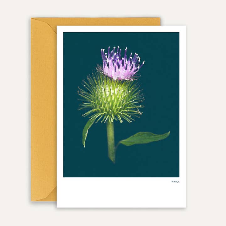 King Gobo 01, Greetingcard for wholesale by Rijkvol