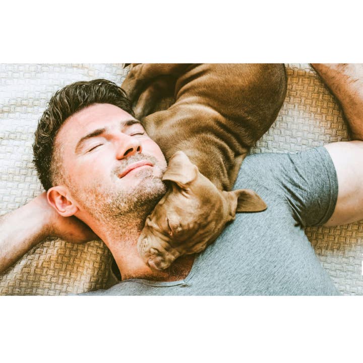 PLUTOS CHEWS – snacks e guloseimas - Cão por atacado – Queijo e Frango XL para Mastigar Dentário de Cão (10)10