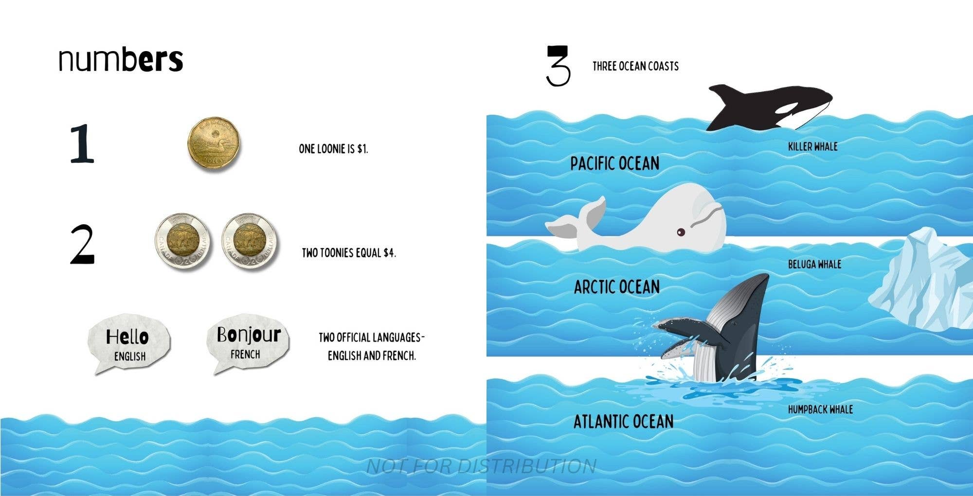 Doodle Paw Press - Wholesale Baby & Toddler Book (0-2) - The Most Canadian Baby Book Ever Eh! Cute Canada Baby Book6