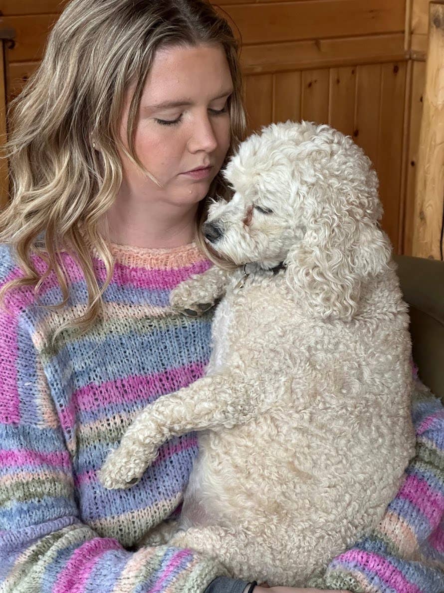 Koigu Wool Designs – wholesale Garn – Andra - Extra-fin Borstad Merinoullgarn24