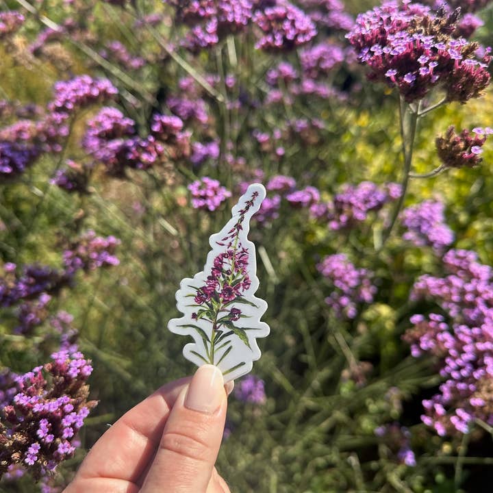 Brush & Bark - Wholesale Sticker - Fireweed Sticker1