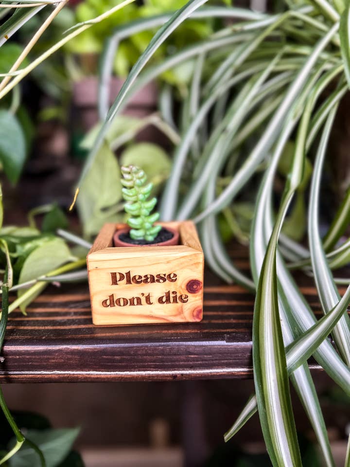Please Don't Die Succulent Holder for wholesale by Dash Ten Works