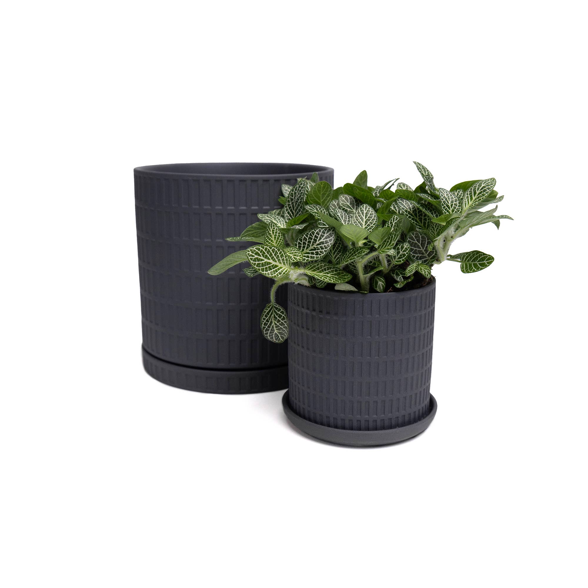 Chive - Wholesale Plant Pot - Handmade Ceramic Virago Pots | Artisan Plant Planters5