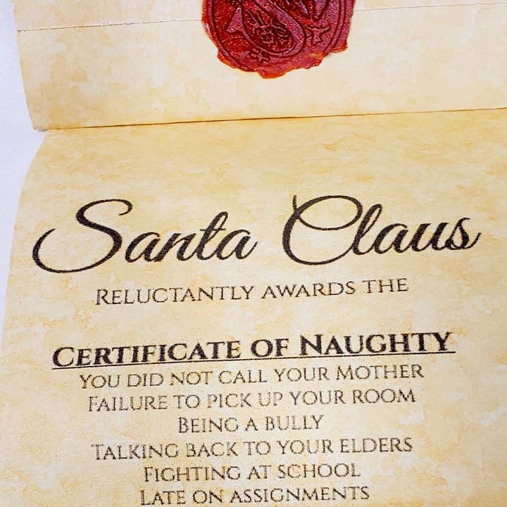 Waterfall Glen Soap Company, LLC - Wholesale Bar Soap - Lump of Coal soap from Santa3