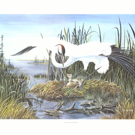 12 lots. « Crane dit que la vie est une danse ». Impression d'art sur oiseaux. Signé # pour la vente par Who You Art