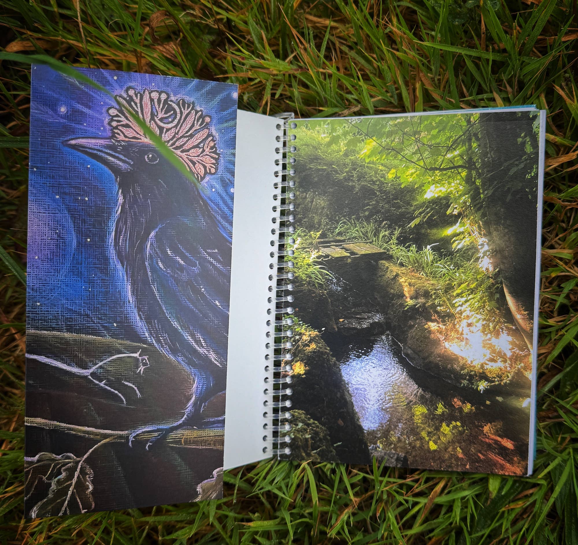 Hannah Willow Art – wholesale Journal/diary – Hannah Willow 2026 Diary1