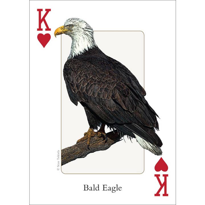 AdventureKEEN - Wholesale Playing Cards - Birds of Midwest Playing Cards3