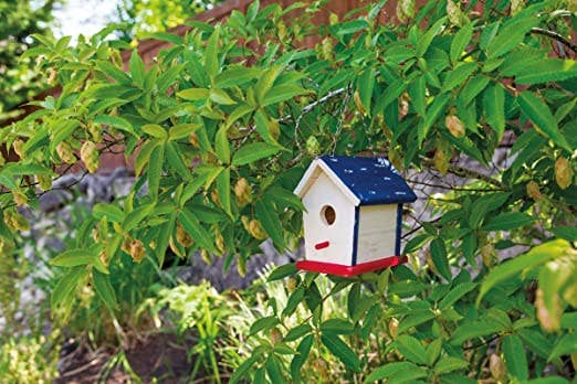 Toysmith - Wholesale DIY Craft Kit - Kids - Beetle & Bee Paint A Bird Base, Backyard Birdhouse Kit2