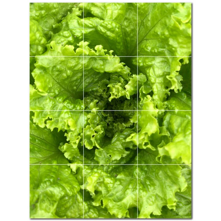 Azulejo Cerâmico Frutos Mural de Azulejo Cerâmico PT500715 por atacado de Picture-Tiles.com