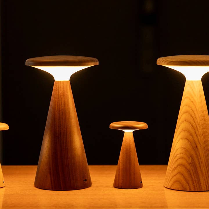 Gingko Design - Wholesale Accent/Desk Lamp - Sylva Table Lamp