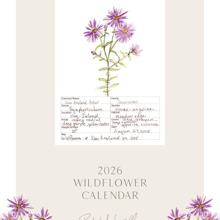 Rebekah Lowell Creative Studio - Wholesale Calendar - 2026 Wildflower Wall Calendar