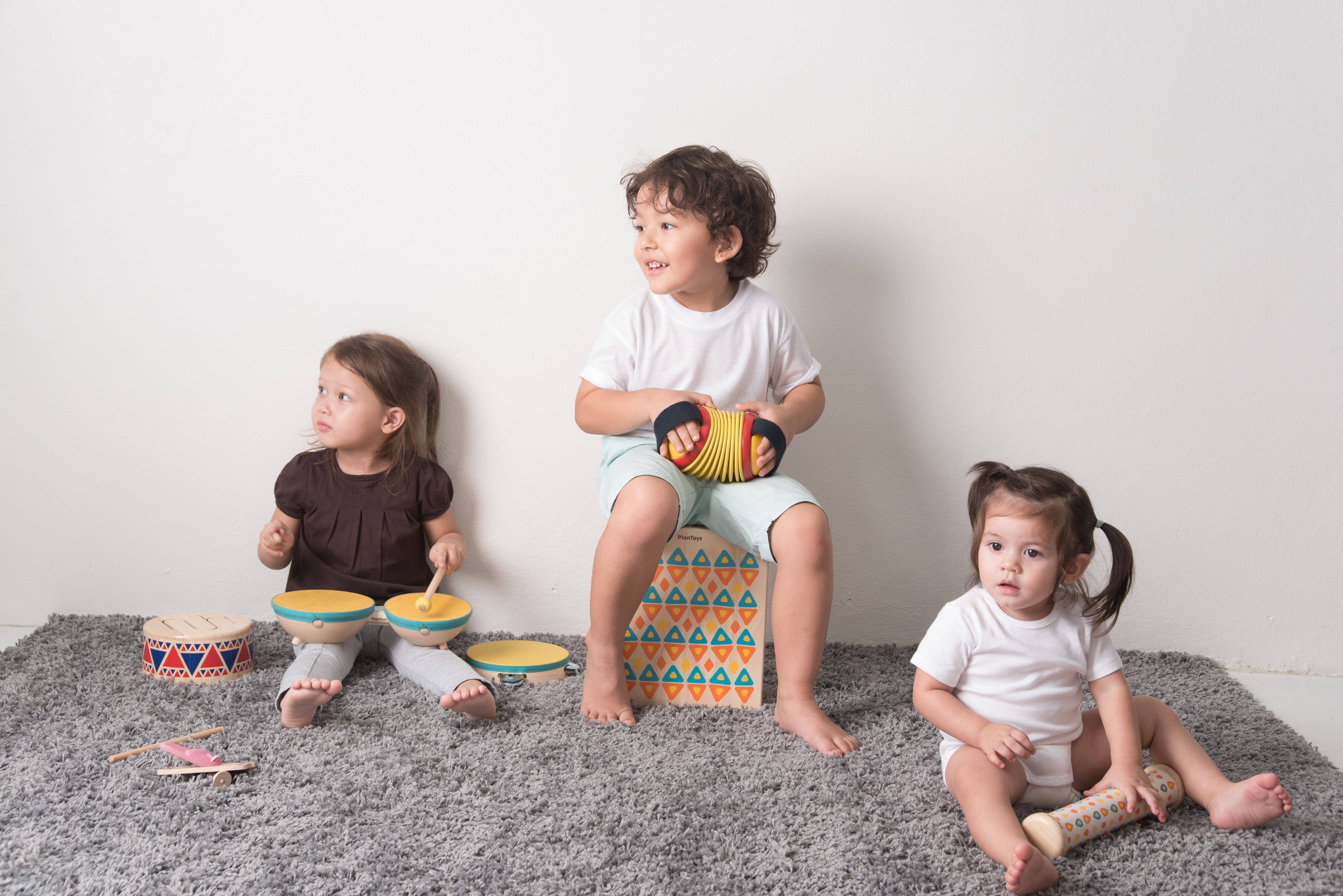 PlanToys - Wholesale Musical Toy - Kids & Baby - Concertina Musical Toy for Kids & Baby2