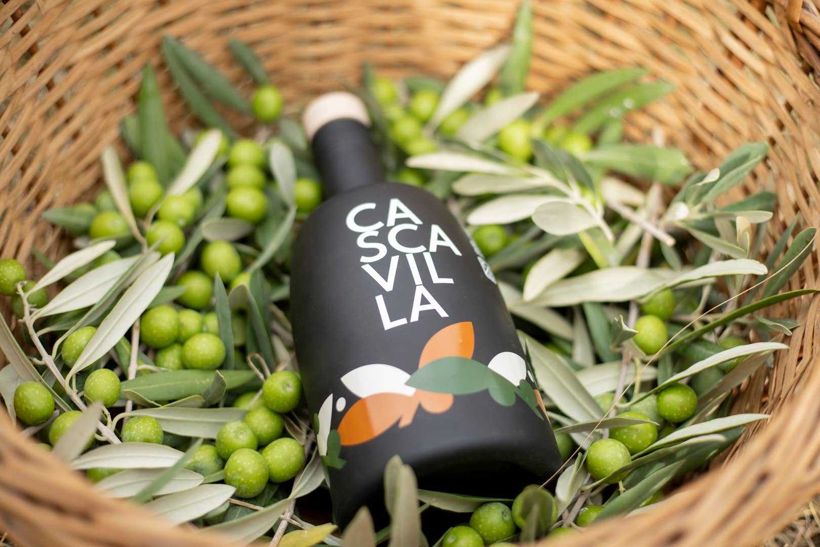 Olio Cascavilla - Wholesale Olive Oil - ORGANIC EXTRA VIRGIN OLIVE OIL2