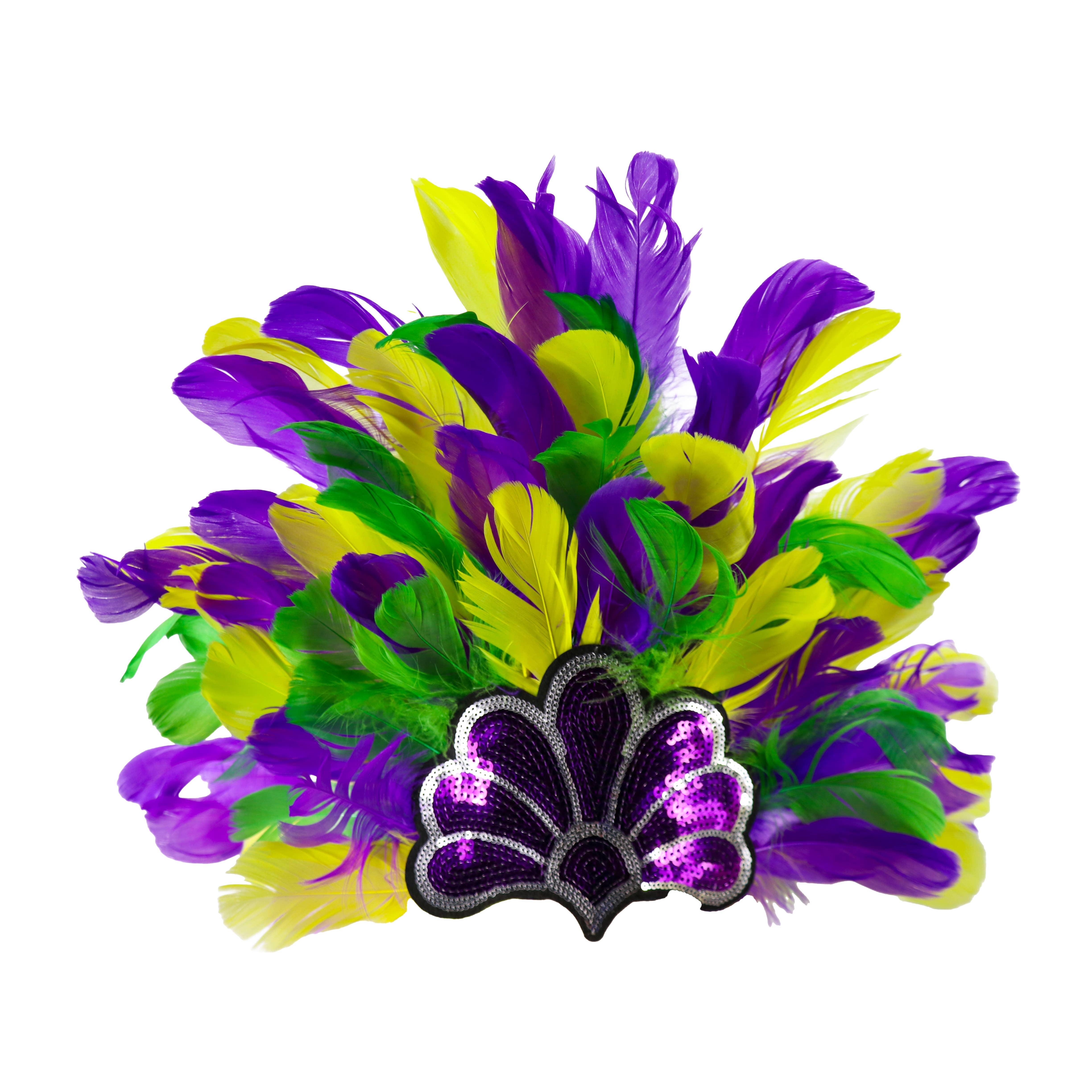 Western Fashion - Wholesale Costume - Women's - samba feather headdress2