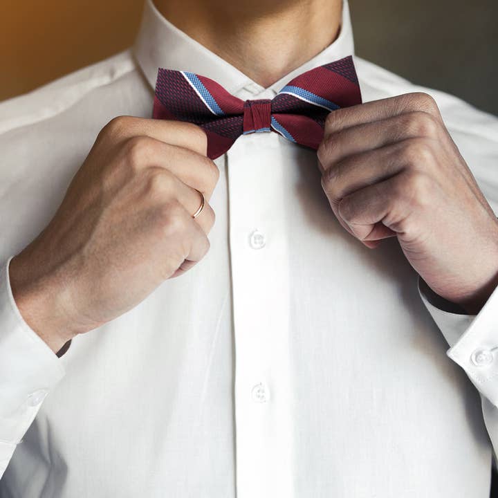 Selini New York - Wholesale Bow Tie - Men's - 12pc Assorted Men's Pattern Banded Bow Ties - FBB12-ASST-A