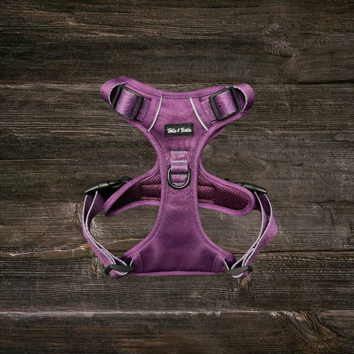 Imbracatura Avventura Sambuco per la vendita all'ingrosso da parte di Tails and Trails