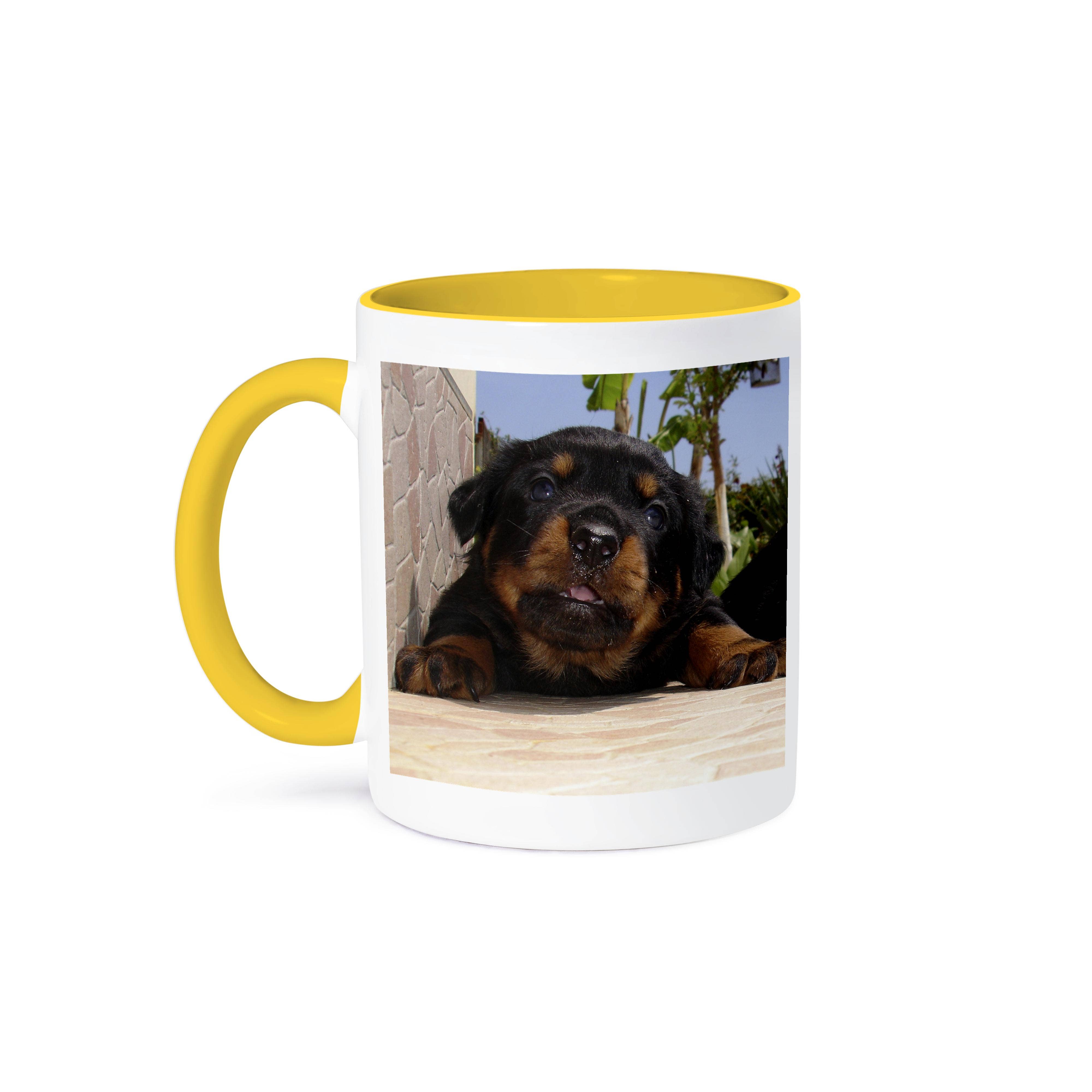 3dRose - Wholesale Coffee Mug - 3dRose, Paws For Thought - rottweiler, rottweilers, rottie, rotties, rottie owner, rottweiler puppy, Mug0