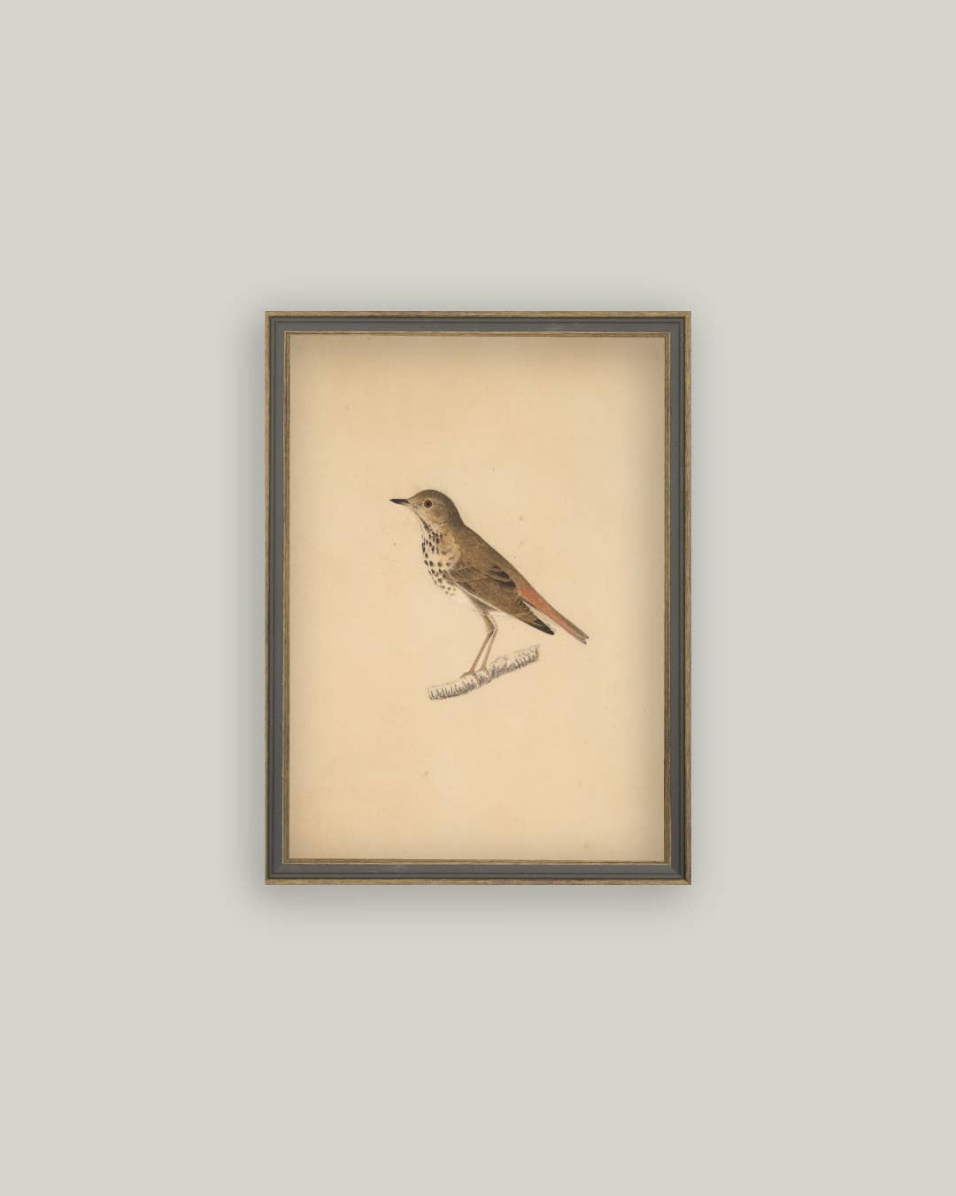 Petal Lane Home - Wholesale Wall Art Set - Bird Framed Antique Art1
