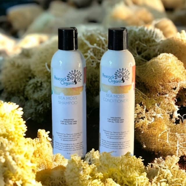 Peacock Organic - Wholesale Hair Shampoo - Sea Moss Strengthening Hair care