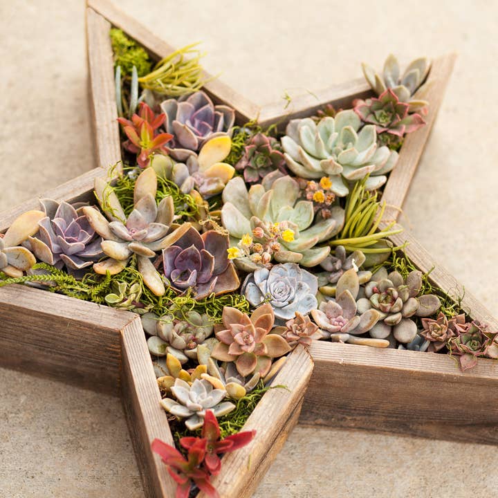 Love Reclaimed - Wholesale Planter Box - Rustic Star Reclaimed Wood Planter1