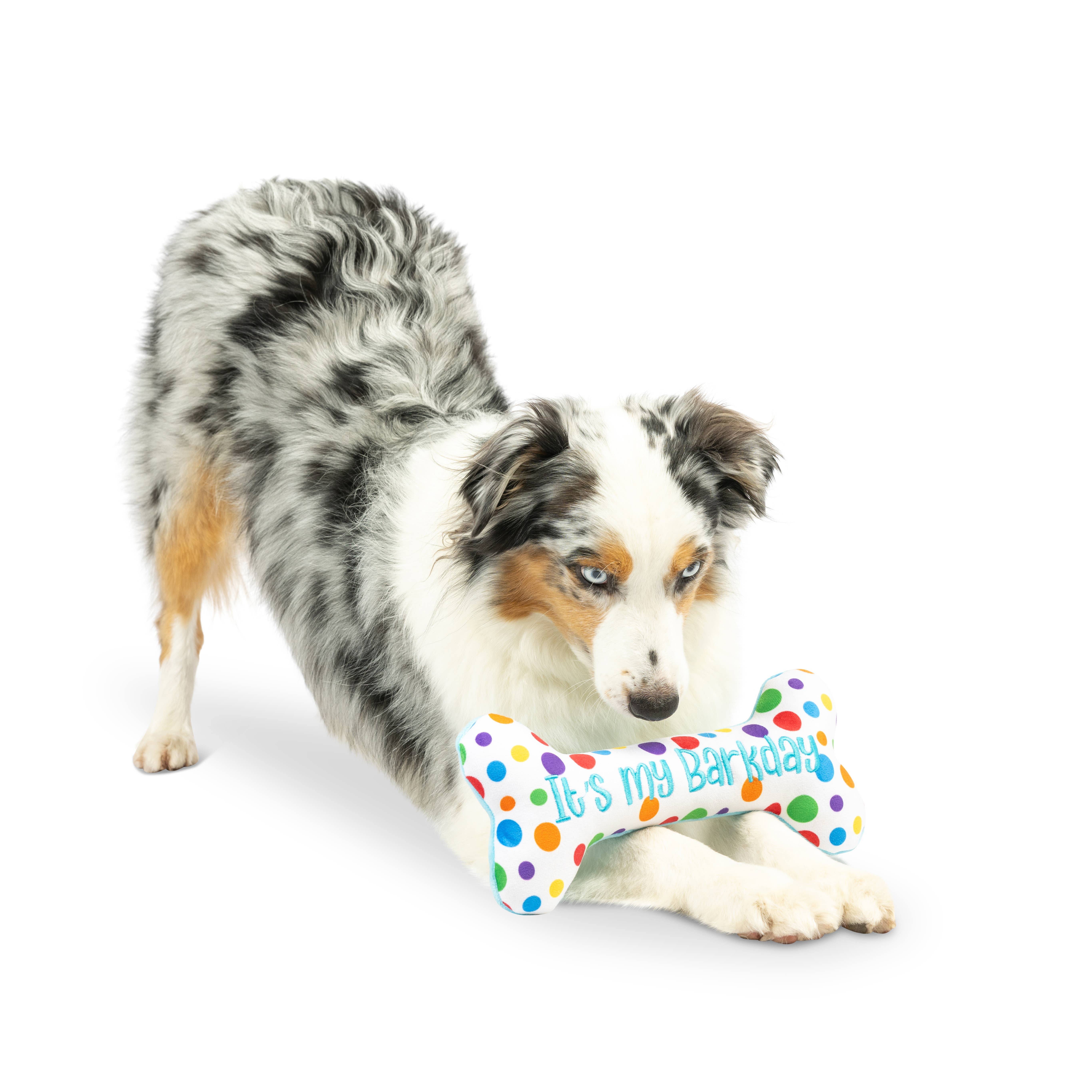 Huxley & Kent - Wholesale Pet Plush Toy - Dog - It's My Barkday Bone Dog Toy (Double Sided)4