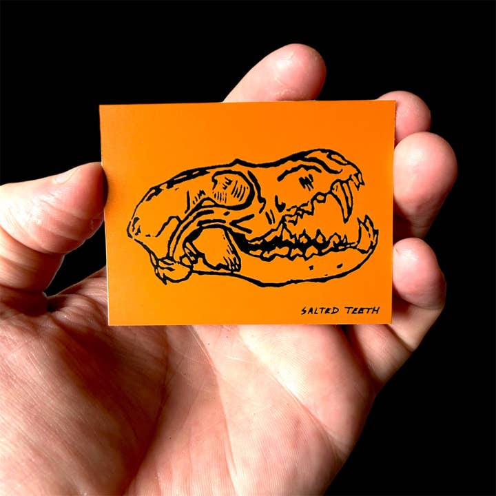 Adesivo in vinile con teschio di per la vendita all'ingrosso da parte di Salted Teeth