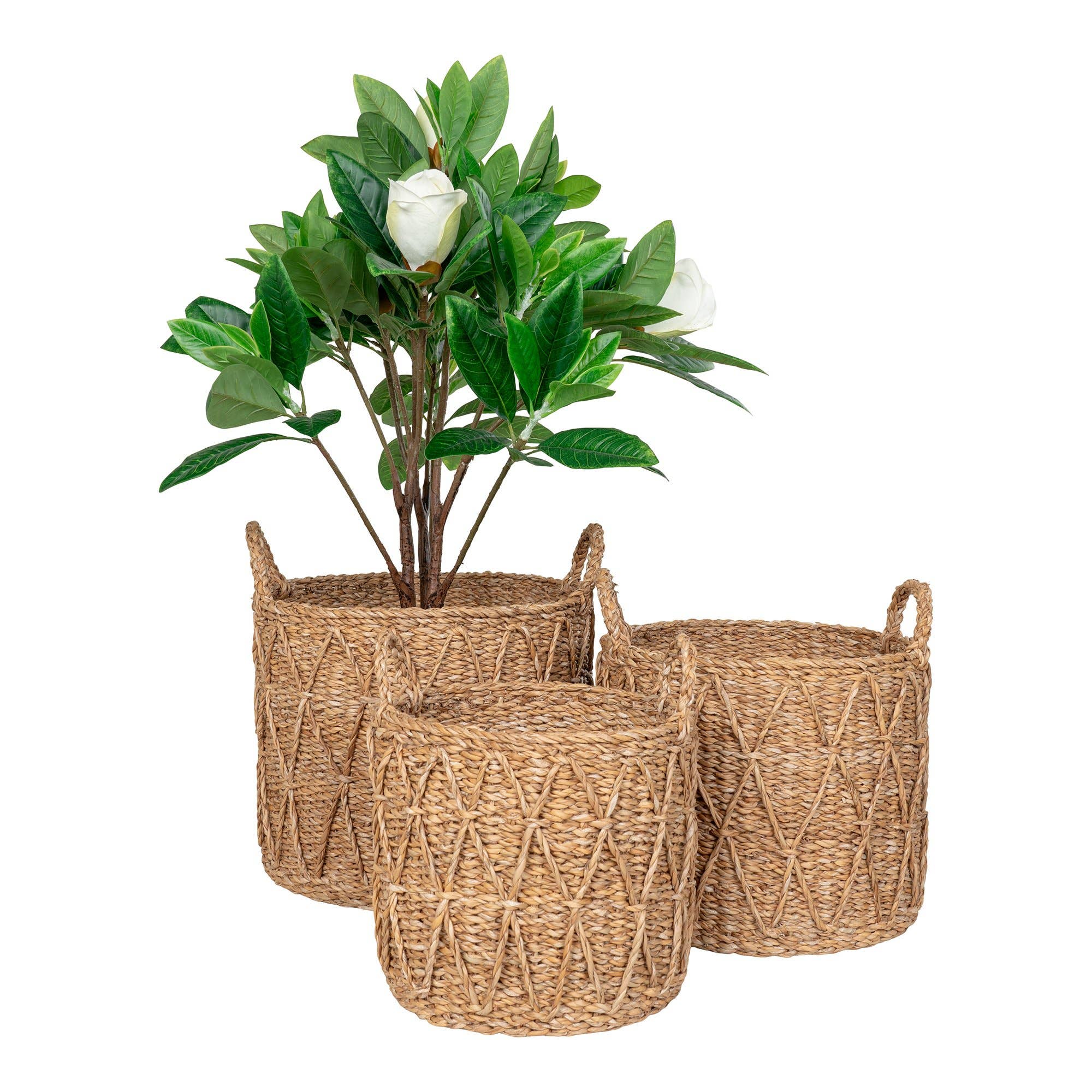 Natural Krabi Basket for wholesale on Faire2