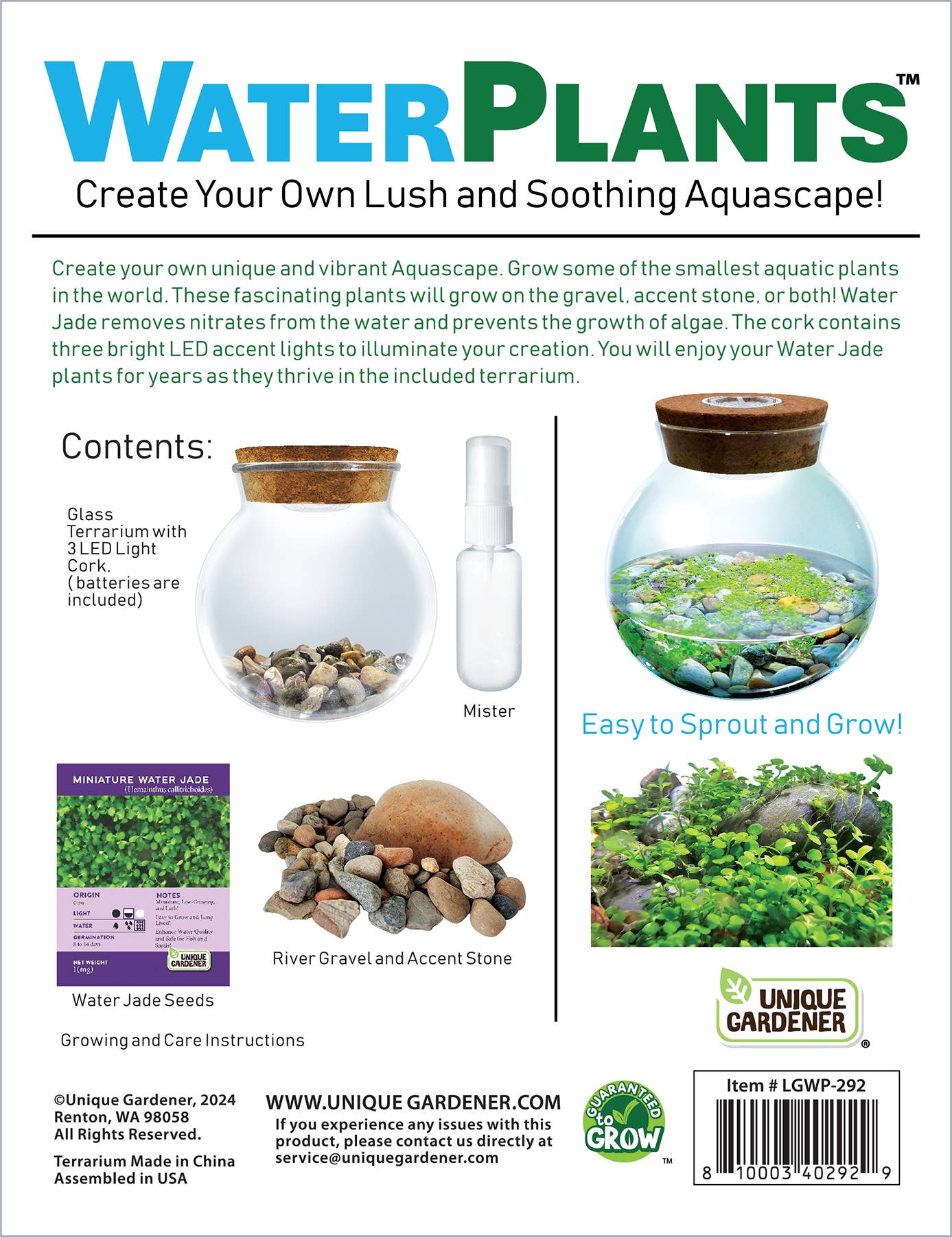 Silver Circle Products - Vente Terrariums - Kit de Semences Aquatiques WaterPlants Terrarium en Verre avec Lumière LED3