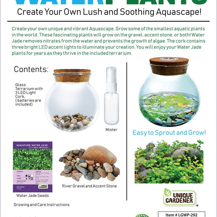 Silver Circle Products - Wholesale Terrarium - WaterPlants Aquatic Seed Kit Glass Terrarium with LED Light3