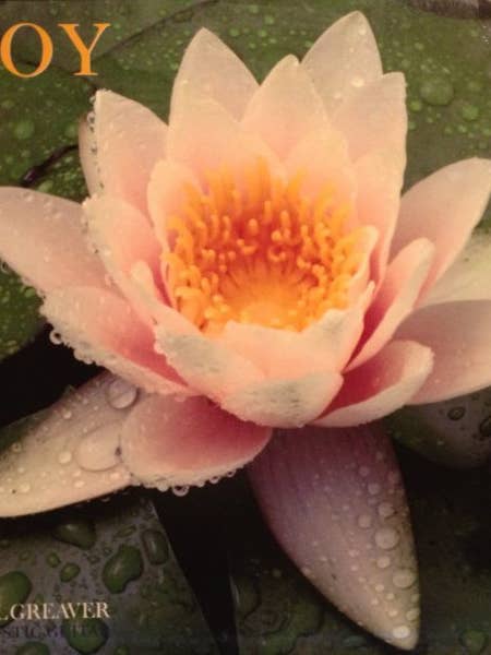 PAUL GREAVER Joy Disco in Vinile per la vendita all'ingrosso da parte di Real Retro