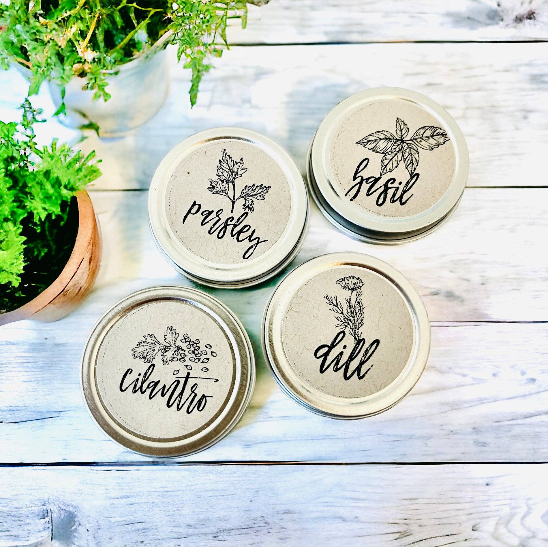 London James Candle Co - Venta al por mayor Semillas de plantas - Kit de jardinería para cultivo de hierbas DIY1
