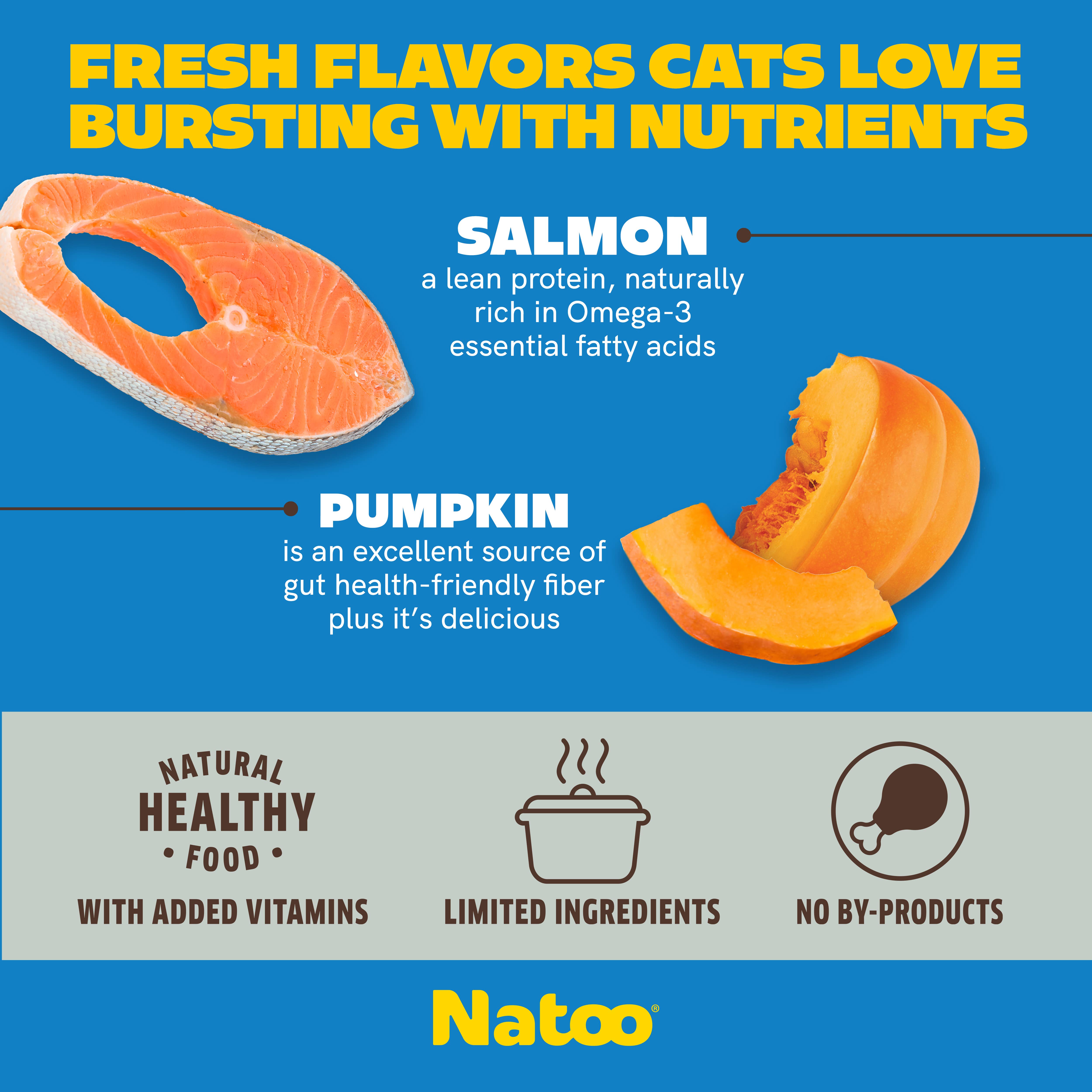Natoo Petfoods - Wholesale Pet Food - Cat - Natoo Topper for Cats - Salmon with Pumpkin2