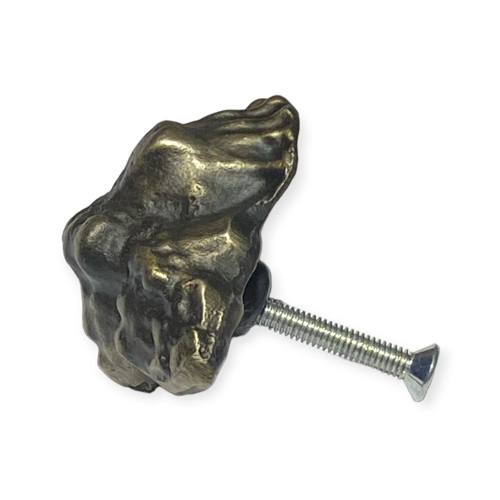 Nautical n Tropical - Wholesale Knob/pull - Brass Shell Knobs2